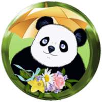 Happy Cute Panda