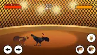 Chicken Fight - Rooster fight Screen Shot 3