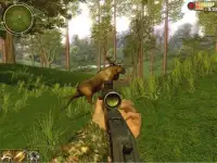 Deer Hunting Season 3D 2017 Screen Shot 1