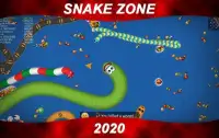 Worm Snake Zone : snake worm mate zone Screen Shot 0