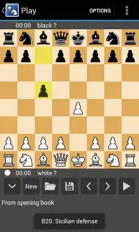 Chess Free 2 Player, Computer Screen Shot 5