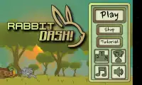 Rabbit Dash! Screen Shot 2