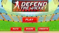 Defend the Wicket - Cricket Screen Shot 3