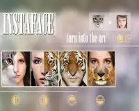 InstaFace : face morphing Screen Shot 12