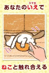 いえねこ～癒しの猫コレクション～　簡単ねこ育成ゲーム Screen Shot 1