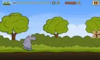 Hippo Rush Free Screen Shot 7