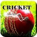 Cricket World Cup game