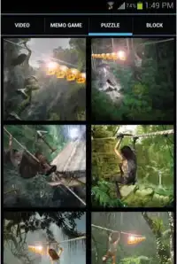 Jungle Flying Adventure Screen Shot 3