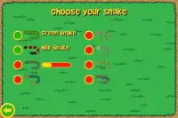 Garden Snake 2: Fun puzzle Screen Shot 3