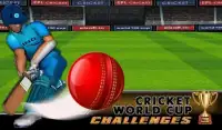 Cricket World Cup Challenges Screen Shot 3