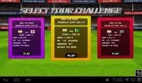 Cricket World Cup Challenges Screen Shot 10