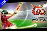 T20 ICC World Cup SL 2012 Lite Screen Shot 3