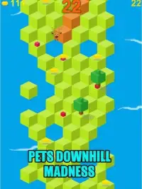 Pets Downhill Madness - Game Screen Shot 2
