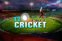 T20 Cricket 2012 Screen Shot 0