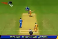 T20 Cricket 2012 Screen Shot 1