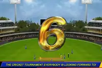 T20 Cricket 2012 Screen Shot 3