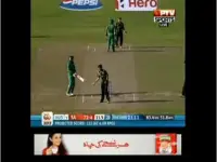 Cricket Live 24/7 Screen Shot 2