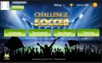 Challenge Soccer Multiplayer Screen Shot 6