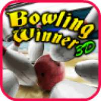 Bowling Winner 3D