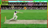 Free Hit Cricket Screen Shot 1