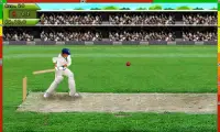 Free Hit Cricket Screen Shot 0