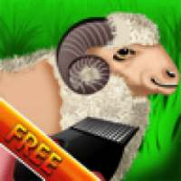 Wooly Sheep Shave _ Free