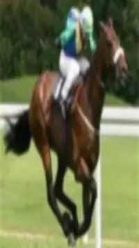 Horse Racing Results Screen Shot 0