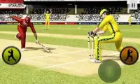 Play Cricket Worldcup 2015 Screen Shot 2
