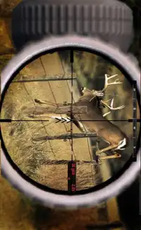 deer jungle hunting Screen Shot 1
