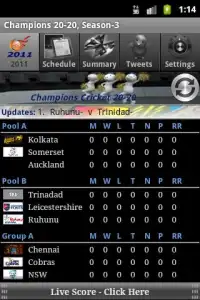Cricket Champions 20-20, 2011 Screen Shot 0