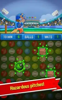 Cricket Rockstar : Multiplayer Screen Shot 9