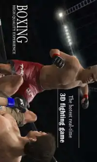 Boxing Game WWE Screen Shot 0