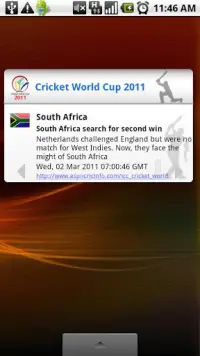 Cricket World Cup 2011 Widget Screen Shot 1