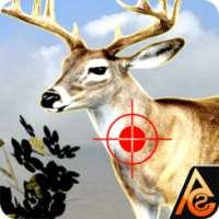 berburu rusa sniper permainan