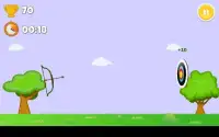 100 Arrows - Archery Games Screen Shot 3