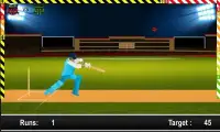 Kriket IPL ™ T20 2015 hidup 3D Screen Shot 1