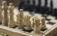 The Chess Game Pawn Sacrifice Screen Shot 0