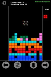 Tetris Extreme Evolution Screen Shot 1