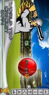 World T20 Cricket 2014 V2 Screen Shot 2