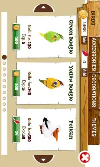 Bird Land - Pet Game Screen Shot 1