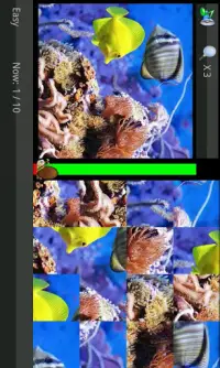 Puzzle Game-Aquarium Album Screen Shot 0