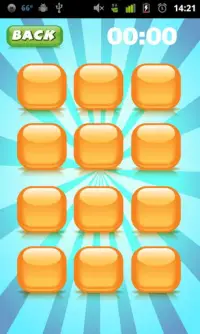 Concentration Memory Game FREE Screen Shot 2