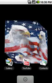 American Eagle Live Wallpaper Screen Shot 1