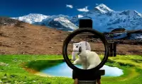 Bear Hunting 3D Game Screen Shot 4