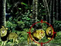 Lion Hunting Sniper 3D Game Screen Shot 0