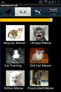 Meow Cat Sounds Free Screen Shot 1