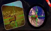 Deer Hunter Sniper Shooter 3D Screen Shot 0