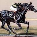 Racing horse Wallpaper