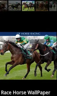 Racing horse Wallpaper Screen Shot 4