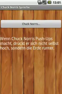 Chuck Norris Screen Shot 0